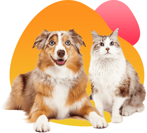 Pet retail and grooming
